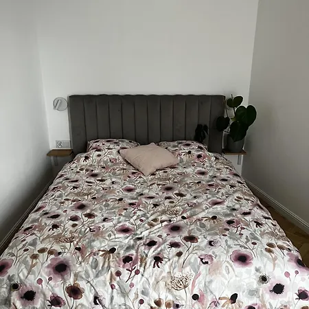 High Standard In Jewish District, Shared With Host منزل للإقامة